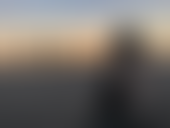 「うめぼし」という名の犬に会った