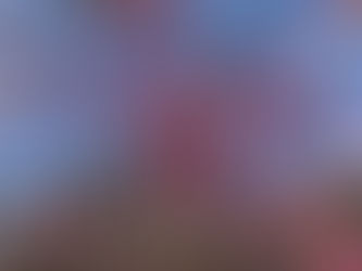 どんな時にも希望を持つ生き方