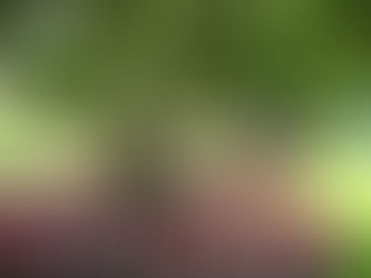 【軸を持ちつつシフトするために】「お金・サバイバルのトリック」