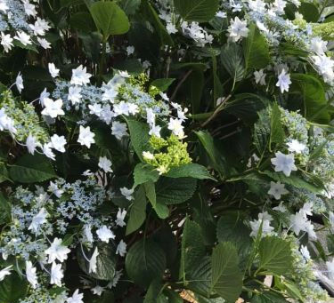 【心のタフさ レジリエンスを高める】「具体例から学ぶ」