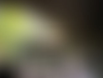 言霊ツアー 高千穂 終わりました。