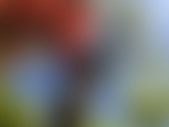 【軸を持ちつつシフトするために】「身体が教えてくれていること」