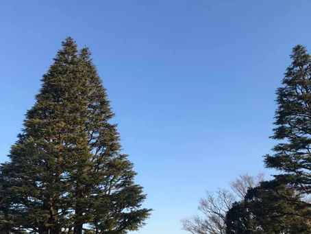 自分の本物であること