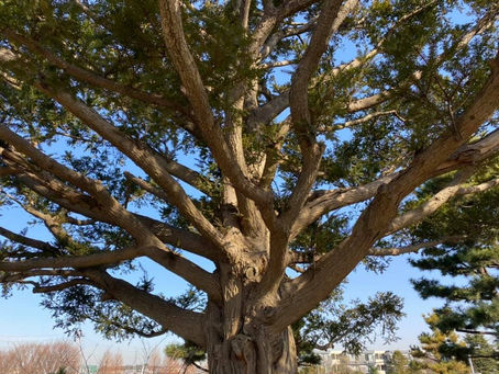 【軸を持ちつつシフトするために】対人関係における軸　事例偏２「相手の気持ちを汲んで尊重する」