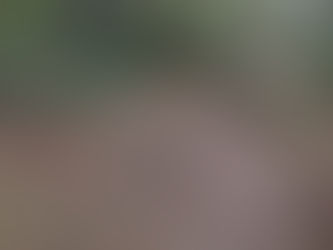 自然が教えてくれること 咲く時期は色々