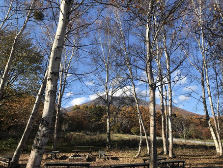 飯綱山。紅葉です。