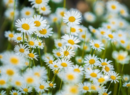 参加者のご感想「1/14(土)開催 リーダーのための言霊塾 初伝」を紹介いたします。