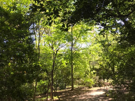 心のタフさ レジリエンスを高める「意識と無意識」