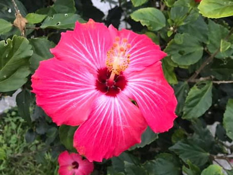 ギフトシードの旅@沖縄