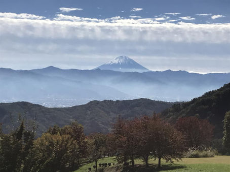 チームの可能性を引き出す 次世代リーダー育成