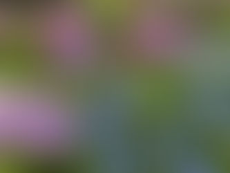 「対人関係における苦手意識はどこからくるのか?」