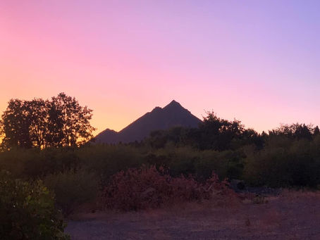 心のタフさ レジリエンスを高める「習慣から学ぶ」