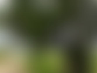 痛みの感情が、力になる。