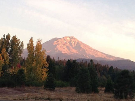 「心を平和で穏やかな状態に保つ」