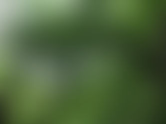 胎動　今、何が生まれ出ようとしているのだろう？