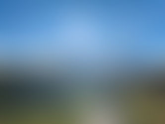 縄文とリーダーシップ