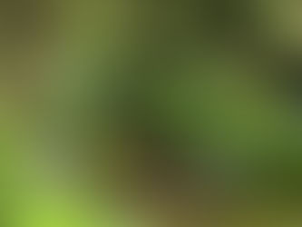 道　問いに答えながら生きる