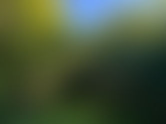 フィルターを楽しく掛け替える具体的方法~NLP心理学のアプローチ