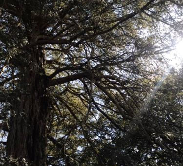 心を健やかに保つためのヒント