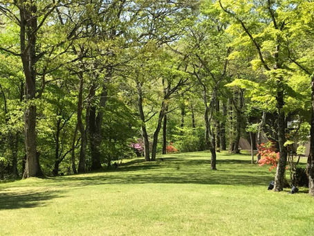 「心の平和の大切さ~まとめ」