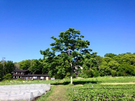 【心のタフさ レジリエンスを高める】「古(いにしえ)から学ぶ」