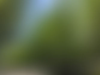 「第31期 言霊塾」の感想