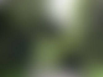 【軸を持ちつつシフトするために】「罪悪感と距離を取る」