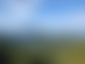 古事記読書会。人事を尽くして天命を待つを感じる