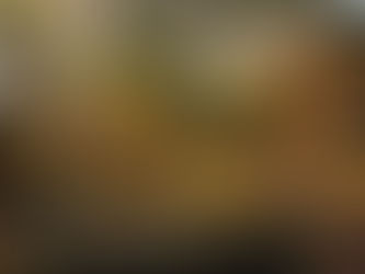 ギフトシードの旅