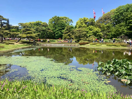 ルーツを知り、自分の力にする