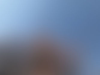 「心の平和の大切さ~つながり」