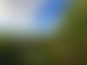 無料誘導瞑想会