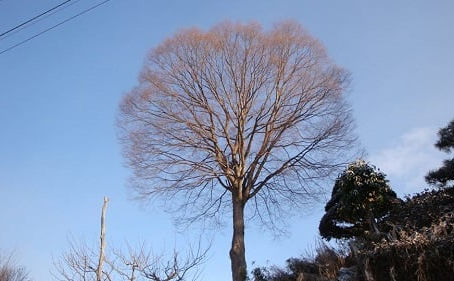 「心の平和の大切さ~『自己肯定感』・喜びの行動か、恐れのこうどうか~」