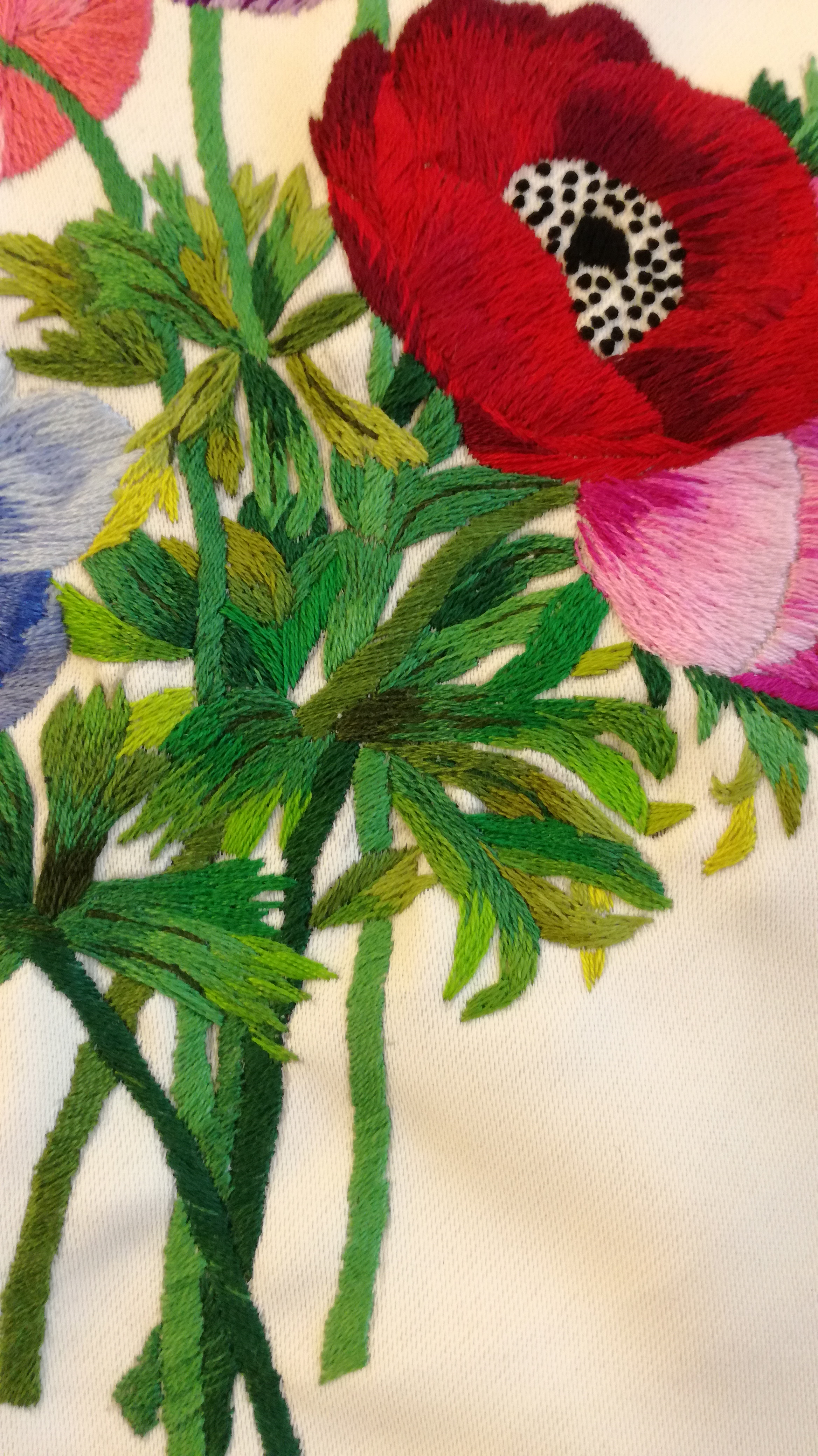 Other details of anemone of Caen
