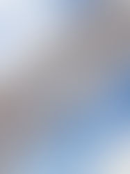 仿真眼鏡拍攝道具