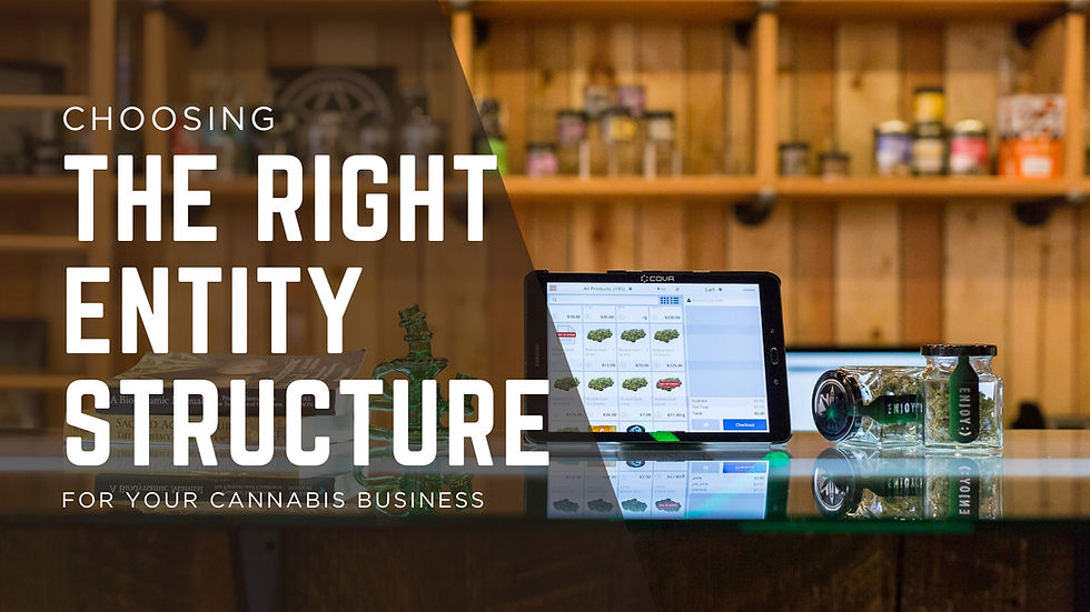 Choosing the Right Entity Structure for Your Cannabis Business