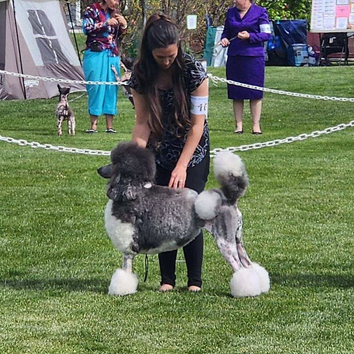 Johnstown Show