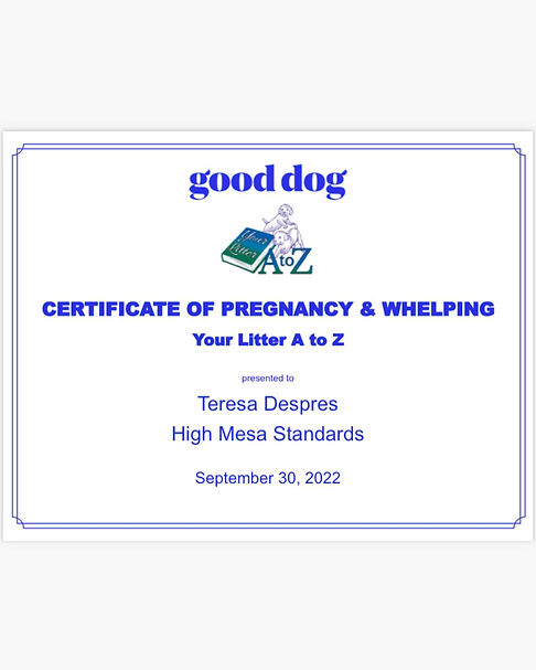 Good dog