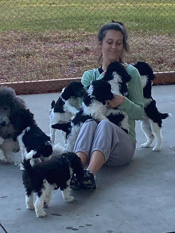 Maizey with Puppies