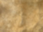 IMG_8761.jpeg