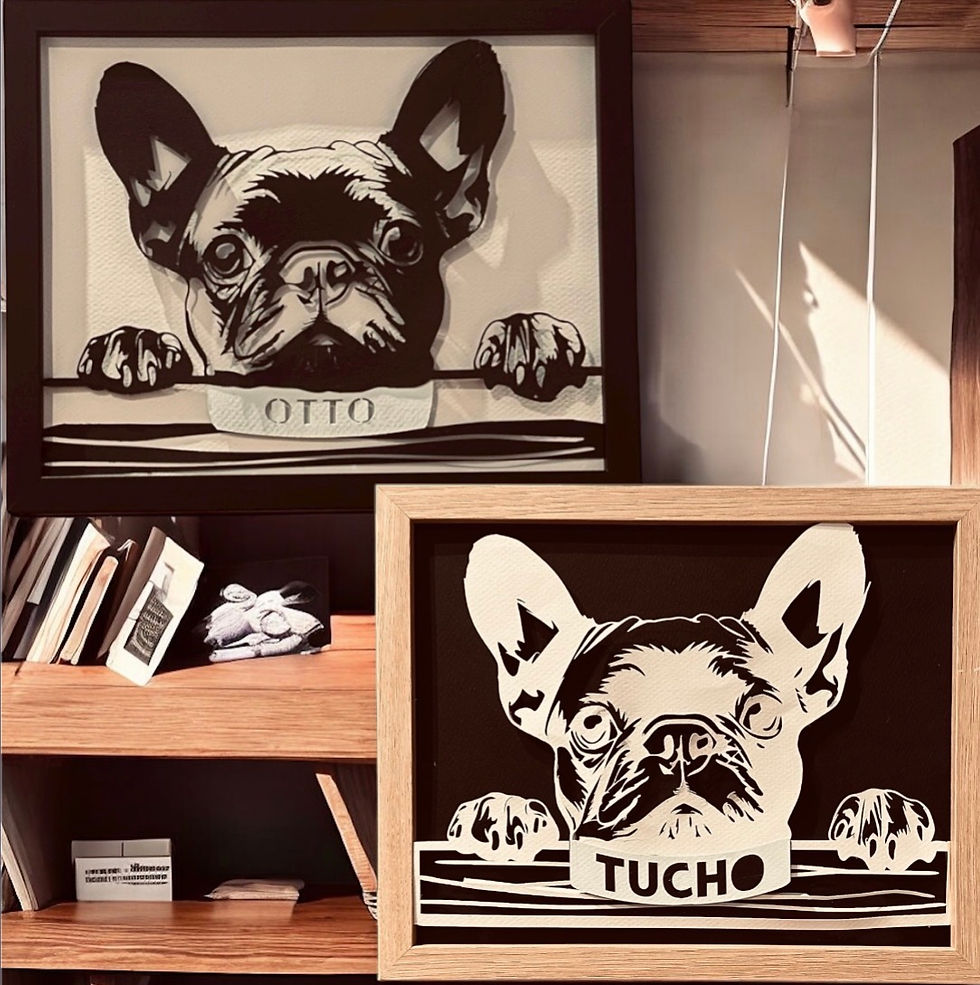 Miniatura: Bulldog Frances