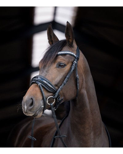 HB Showtime Stockholm anatomisch luxe hoofdstel op donkerbruin paard, volledig vooraanzicht met frontriem en Swarovski detail