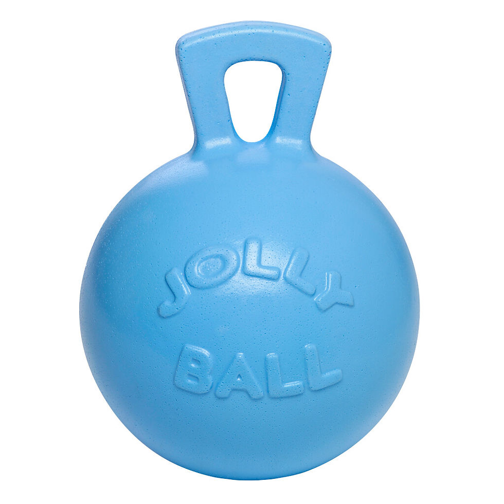 Thumbnail: Jolly Ball Blauw 25 cm – onverwoestbare speelbal voor paarden tegen verveling