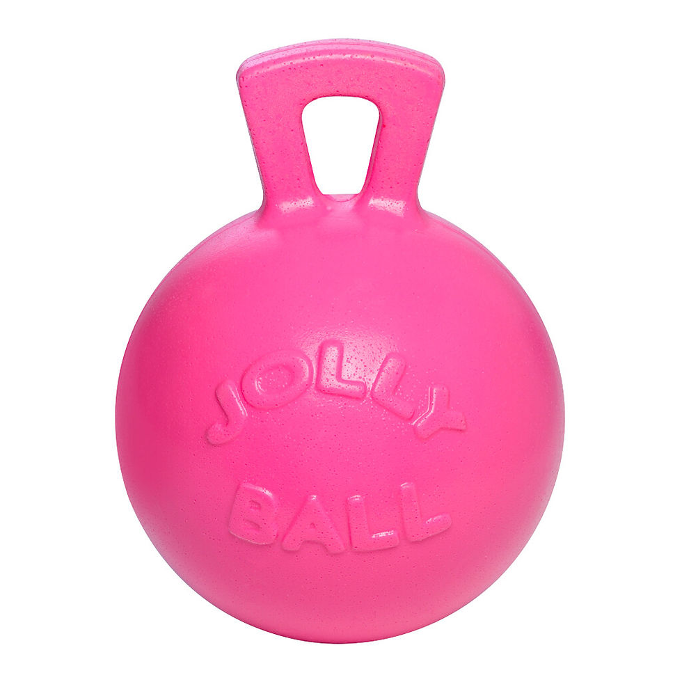 Thumbnail: Jolly Ball Roze 25 cm – onverwoestbare speelbal voor paarden tegen verveling
