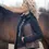 Thumbnail: Mrs. Ros Softshell trainingsvest lange mouw - Zwart