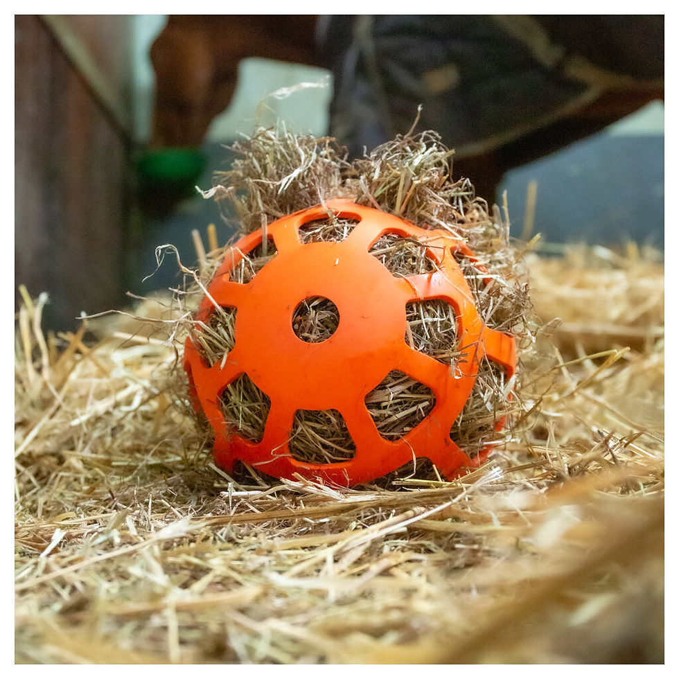 Thumbnail: Hay Slow Feeder Fun & Flex Oranje – voerbal gevuld met hooi.