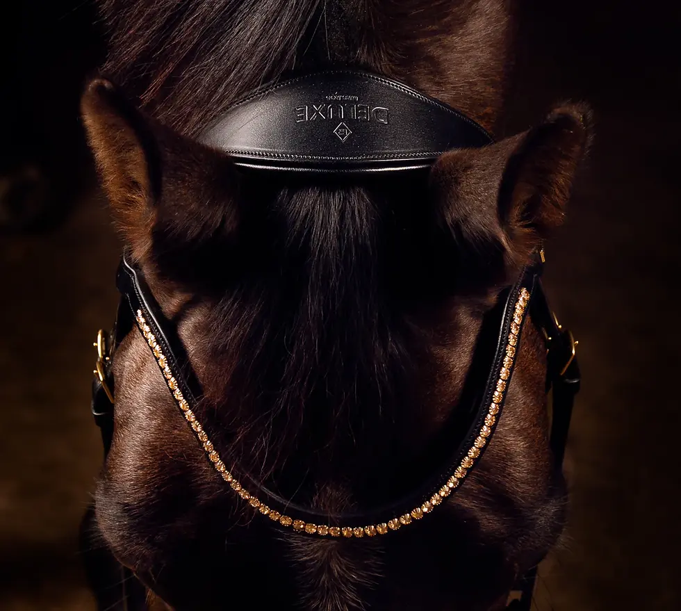 Thumbnail: Ingezoomd op voorkant Mrs Ros Deluxe Knight Power single trens hoofdstel, gedragen door bruin paard