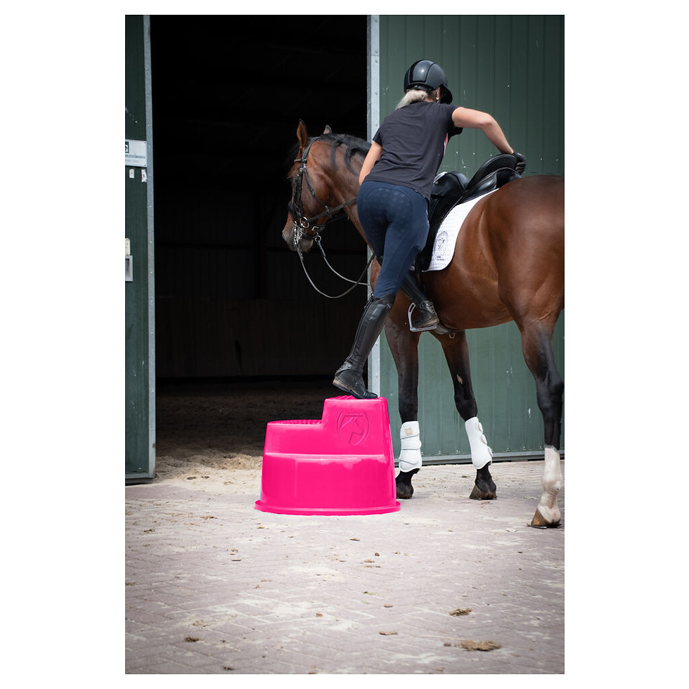 Thumbnail: Kunststof opstaphulp met handvat – duurzaam en stabiel op je paard stappen