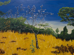 Pausonia in fiore - olio su tela - 60x80 - 2021