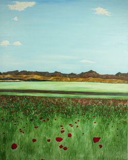 Papaveri - olio su tela -80x100 - 2016